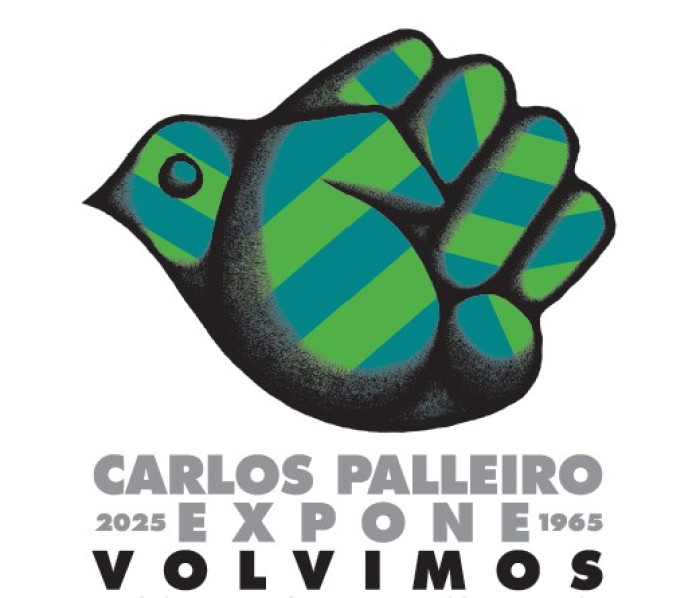  - Carlos Palleiro - expone - Volvimos - Museo Nacional de Artes Visuales