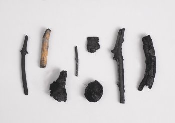 Carboncillos y carbones:<br>Vid, Ombú, Pino, Ceibo, Eucaliptus, Acacia, Tilo y Timbó.<br><br>Foto Oscar Bonilla - Martín Verges - La nostalgia de los materiales - Museo Nacional de Artes Visuales